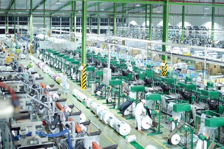 Nhựa An Phát Xanh sản xuất thành công màng nông nghiệp tự hủy