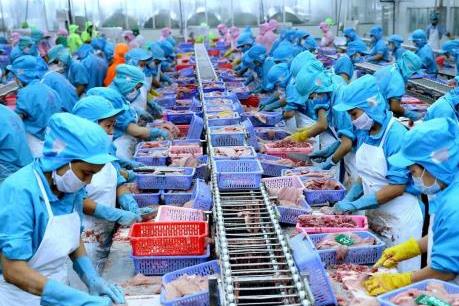 Khai thác lợi thế xuất khẩu chính ngạch từ các FTA