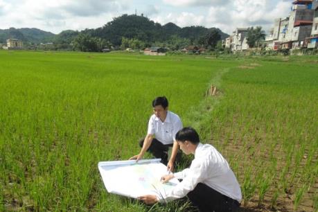 Từ 1/8 sẽ kiểm kê đất đai, lập bản đồ hiện trạng sử dụng đất 