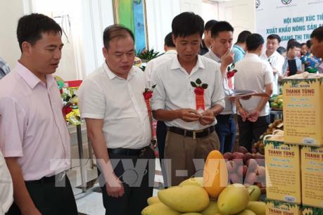 Sơn La xúc tiến tiêu thụ xuất khẩu nông sản sang Trung Quốc