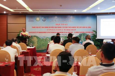 Bàn cách quản lý di sản vịnh Hạ Long