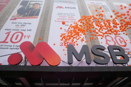 Kết quả đấu giá bán cổ phần Ngân hàng TMCP Hàng hải Việt Nam