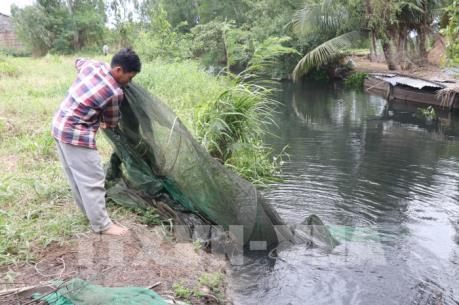 Trang trại nuôi vịt xả thải gây ô nhiễm nguồn nước