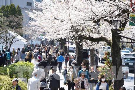 Hà Nội thúc đẩy hợp tác du lịch với Nhật Bản