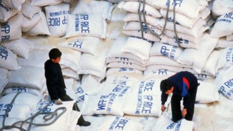Hàn Quốc viện trợ 50.000 tấn gạo cho Triều Tiên
