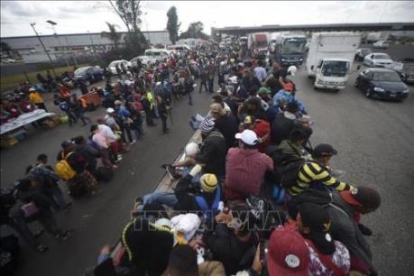 Mexico vẫn đối mặt với mối đe dọa thuế quan từ Mỹ