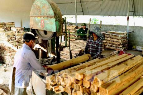 Đảm bảo minh bạch xuất xứ các mặt hàng gỗ