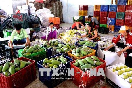 Nhiều dư địa để Việt Nam xuất khẩu nông sản vào Trung Quốc