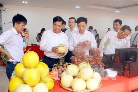 Liên kết, tiêu thụ sản phẩm nông nghiệp của hợp tác xã