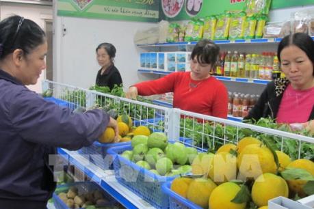 Hà Nam phát triển nông sản sạch làm vệ tinh