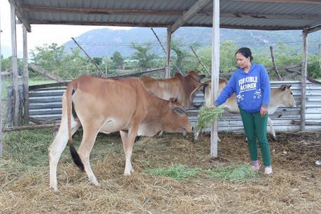 Vốn chính sách giúp trên 940 nghìn lượt hộ nghèo có vốn sản xuất kinh doanh