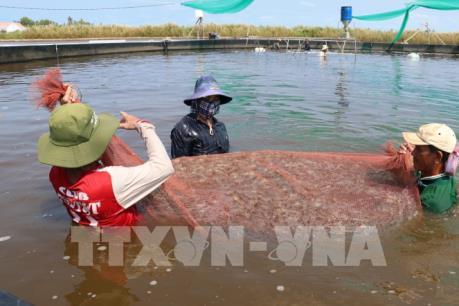 Thực hiện chính sách hỗ trợ bảo hiểm nông nghiệp