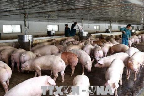 Kinh tế 6 tháng: Ngành nông nghiệp làm gì để đạt mục mục tiêu tăng trưởng?
