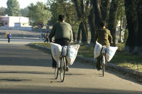 Hàn Quốc thông qua phương án viện trợ 50.000 tấn gạo cho Triều Tiên