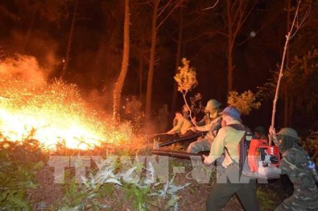 Lửa bốc đỏ rực cả khu vực núi Nầm, Hà Tĩnh