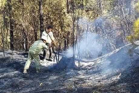 Khôi phục cấp điện toàn bộ phụ tải miền Bắc và miền Trung