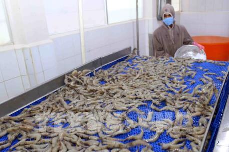 EVFTA: Cơ hội thúc đẩy hợp tác kinh tế Việt Nam - Cộng hòa Séc