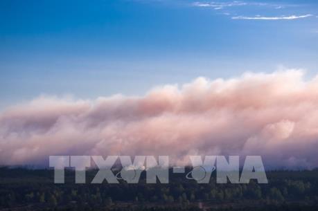 Đức: Hàng trăm người phải sơ tán do cháy rừng