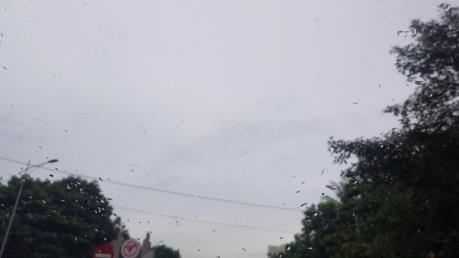 Hà Tĩnh bắt đầu mưa, cháy rừng cơ bản được khống chế