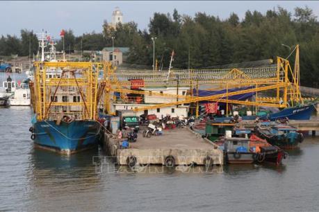 Quảng Trị khó hoàn thành quy hoạch cảng cá do thiếu vốn