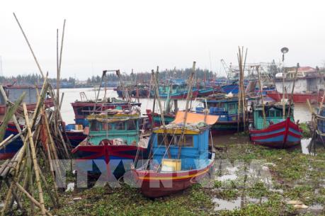 Dự báo thời tiết ngày mai 4/7: Ảnh hưởng bão số 2, các khu vực trên cả nước đều có mưa