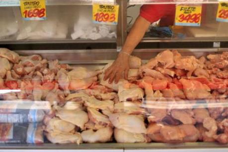 Anh trả lại cho Brazil 16 container gia cầm do phát hiện vi khuẩn salmonella