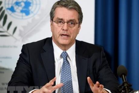 WTO: Suy thoái kinh tế do COVID-19 sẽ nghiêm trọng hơn khủng hoảng tài chính năm 2008