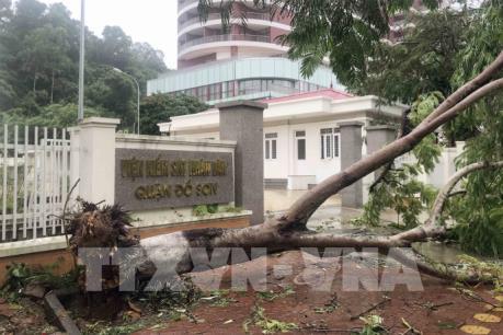 Bão số 2 gây nhiều thiệt hại tại các địa phương