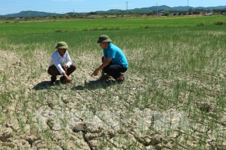 Dự báo thời tiết 2 ngày tới: Nắng nóng diện rộng quay trở lại