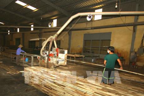 Hướng tới mục tiêu 11 tỷ USD kim ngạch xuất khẩu lâm sản