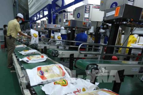Gạo Việt Nam và Thái Lan chật vật cạnh tranh với giá gạo Ấn Độ