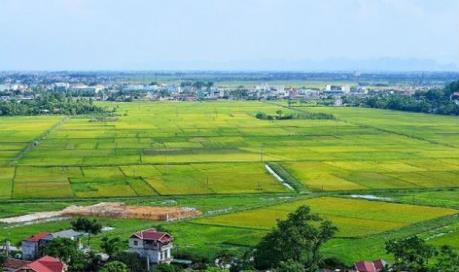 Thủ tướng Chính phủ đồng ý chuyển mục đích sử dụng đất ở 3 tỉnh