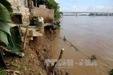 Sạt lở bờ sông Thao đã gần 2 năm chưa có dấu hiệu giảm