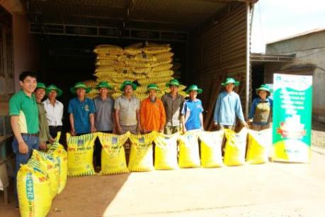 Nhiều sản phẩm NPK Phú Mỹ mới “ra lò”