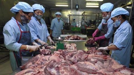 Dự báo sản xuất thịt lợn ở Trung Quốc sẽ tăng trở lại sau năm 2020