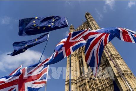 Anh sẽ bất lợi khi EU chậm trễ chuẩn bị cho kịch bản Brexit "cứng"