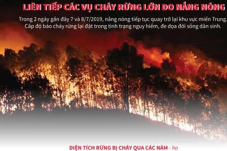 Liên tiếp các vụ cháy rừng lớn do nắng nóng