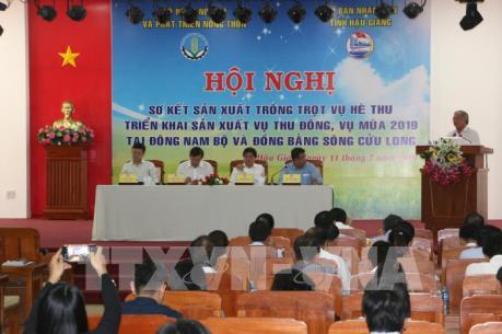 Hai phương án sản xuất lúa cho Đồng bằng sông Cửu Long