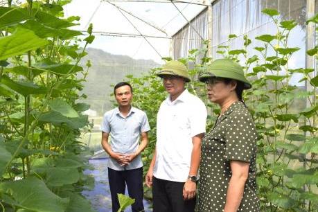 Nguồn lực cho nông thôn mới ở Hà Giang còn hạn chế