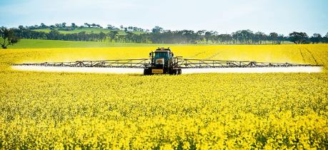 Canada đầu tư 9,95 triệu USD cho trồng trọt và đa dạng hoá ngũ cốc