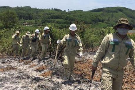 Nỗ lực bảo vệ đường dây 500kV trước các vụ cháy rừng liên tiếp