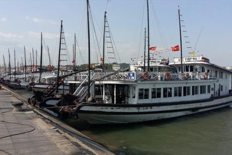 Nhân viên quay lén khách tắm tráng, tàu du lịch Hạ Long bị đình chỉ hoạt động