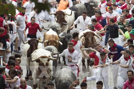 Người dân Tây Ban Nha chia tay lễ hội chạy với bò tót