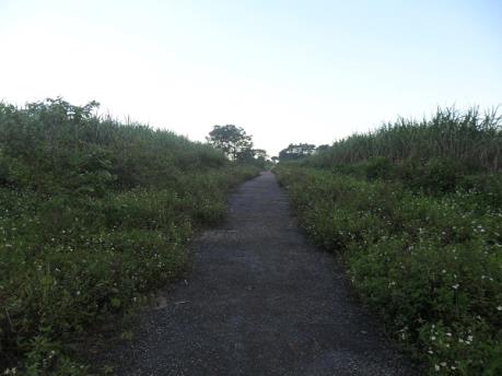 Nghệ An thu hồi các dự án đầu tư chậm thực hiện