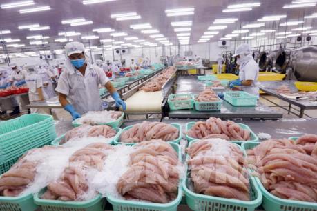 Xây dựng thương hiệu cá tra Việt Nam: Khó nhất là gì?