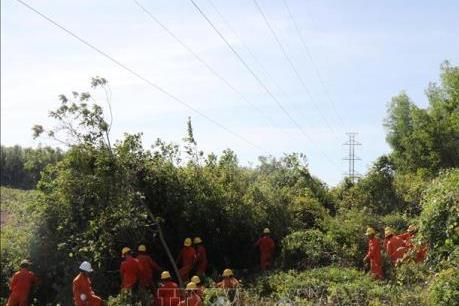 Quảng Trị thực hiện nhiều giải pháp đảm bảo an toàn hành lang lưới điện