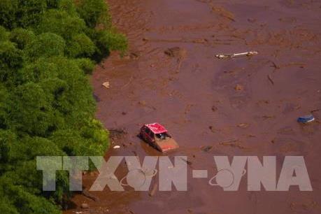 Vale SA chi hơn 100 triệu USD cho công nhân trong thảm họa vỡ đập