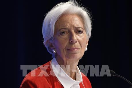 Tổng Giám đốc IMF đệ đơn từ chức