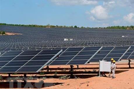 Ồ ạt đầu tư điện mặt trời: Lưới truyền tải không theo kịp