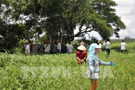 Bến Tre yêu cầu trang trại nuôi vịt khắc phục tình trạng gây ô nhiễm môi trường